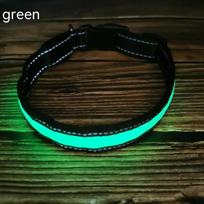 Reflective LED Dog Collar with Leather and Ribbon Design