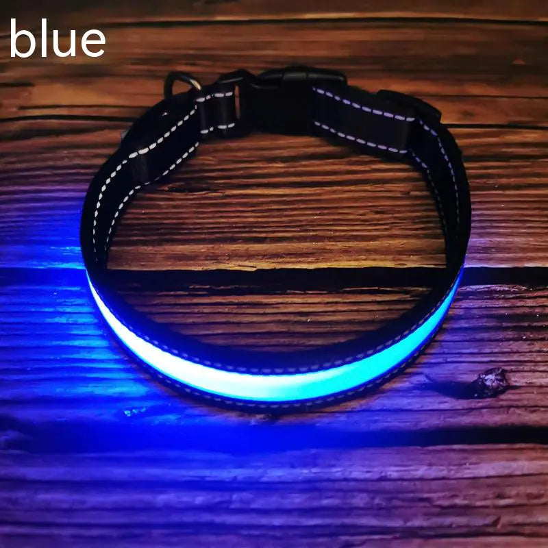 Reflective LED Dog Collar with Leather and Ribbon Design