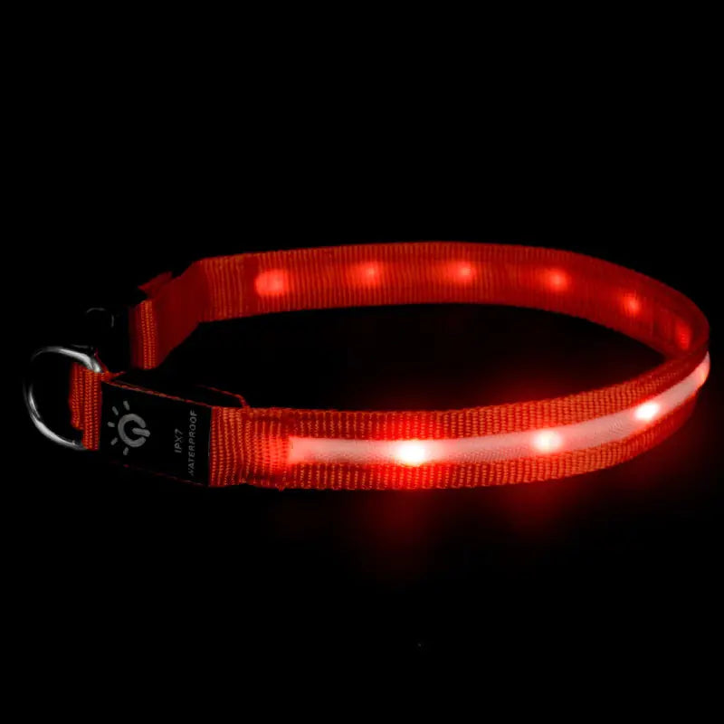 LED Waterproof Night Pet Collar with Lighting