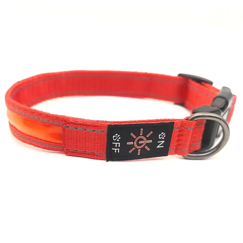 Reflective LED Dog Collar with Leather and Ribbon Design