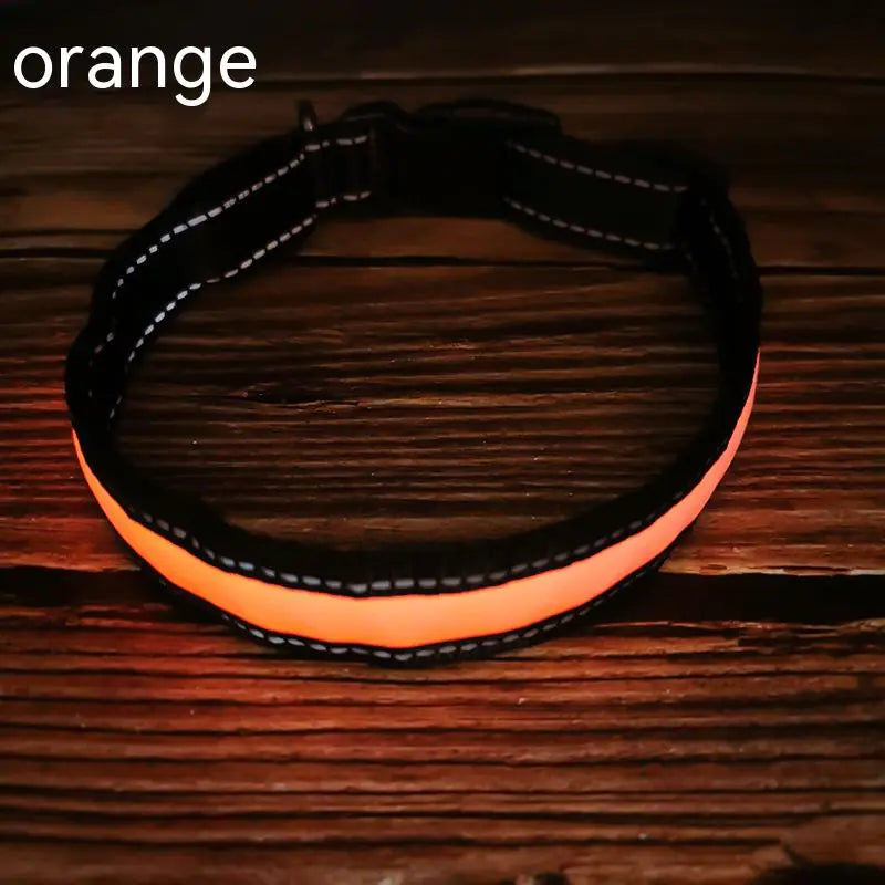 Reflective LED Dog Collar with Leather and Ribbon Design