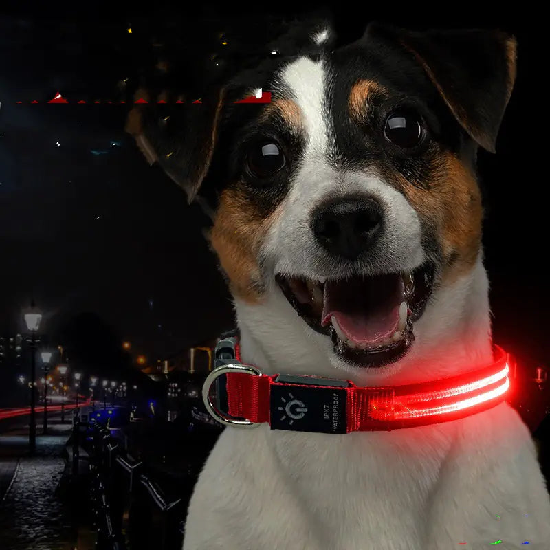 LED Waterproof Night Pet Collar with Lighting