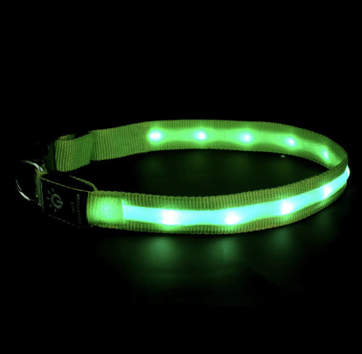 LED Waterproof Night Pet Collar with Lighting
