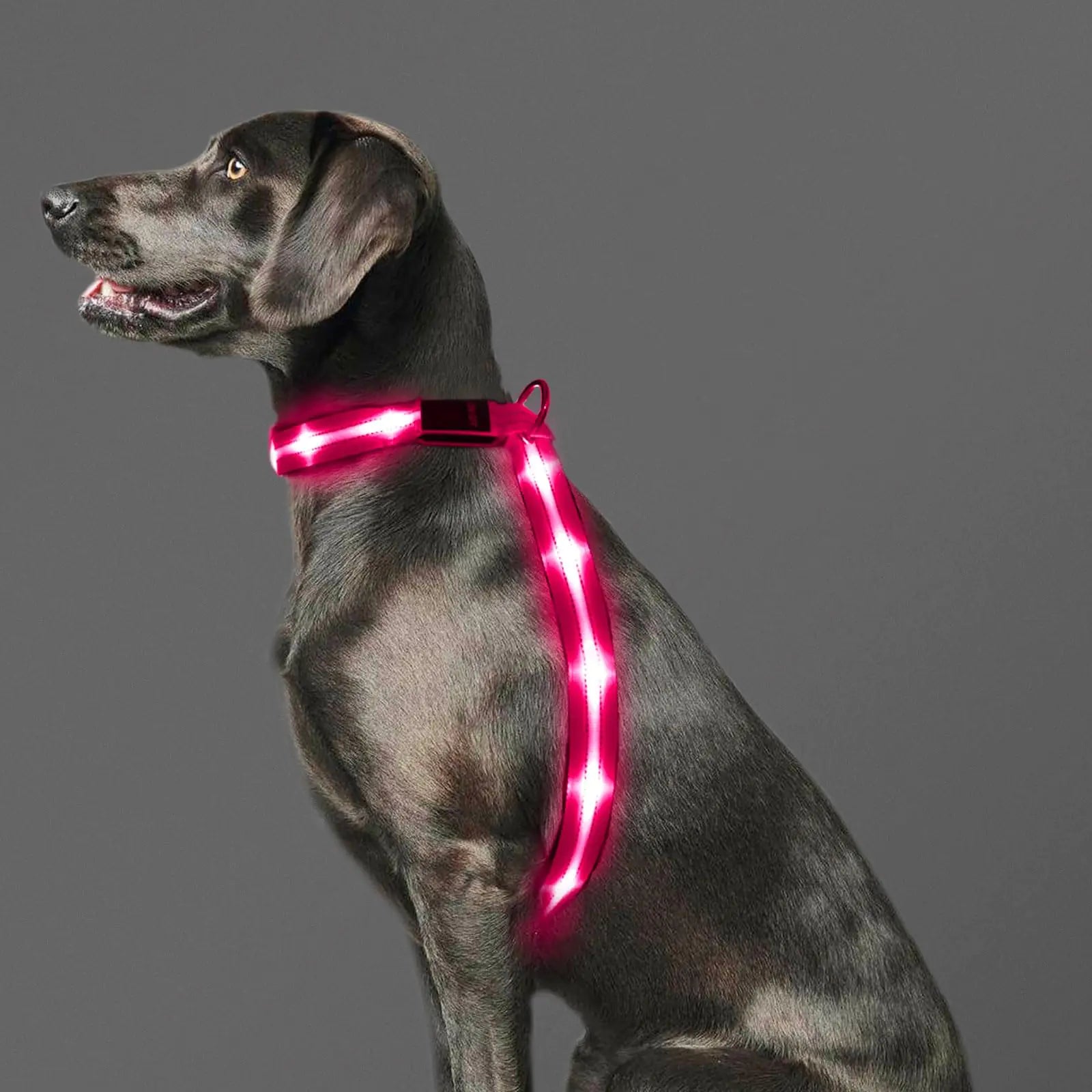 PZRLit LED Light Up Dog Vest Harness Rechargeable Soft Padded Adjustable & Reflective Lighted Dog Harness Waterproof Glow Dark Dog Light Harness for Camping Night Safety Walking Large Pink