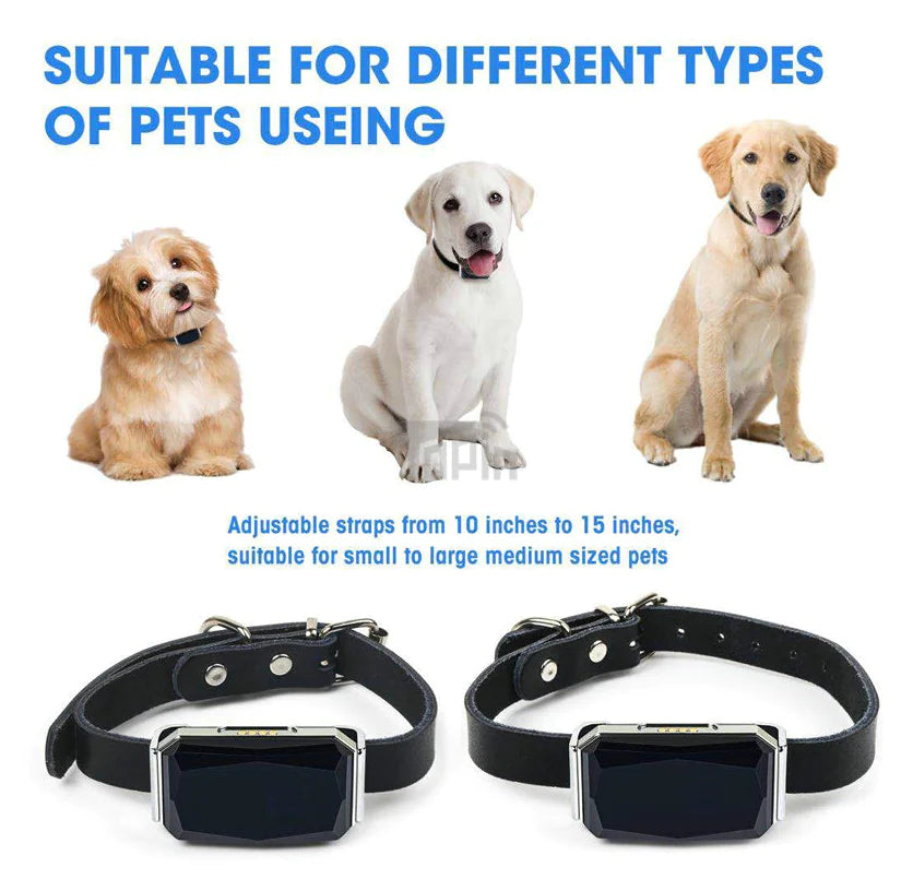 GPS Pet Locator for Small to Large Dogs and Cats