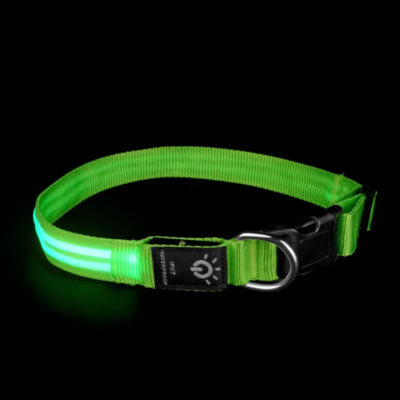 LED Waterproof Night Pet Collar with Lighting
