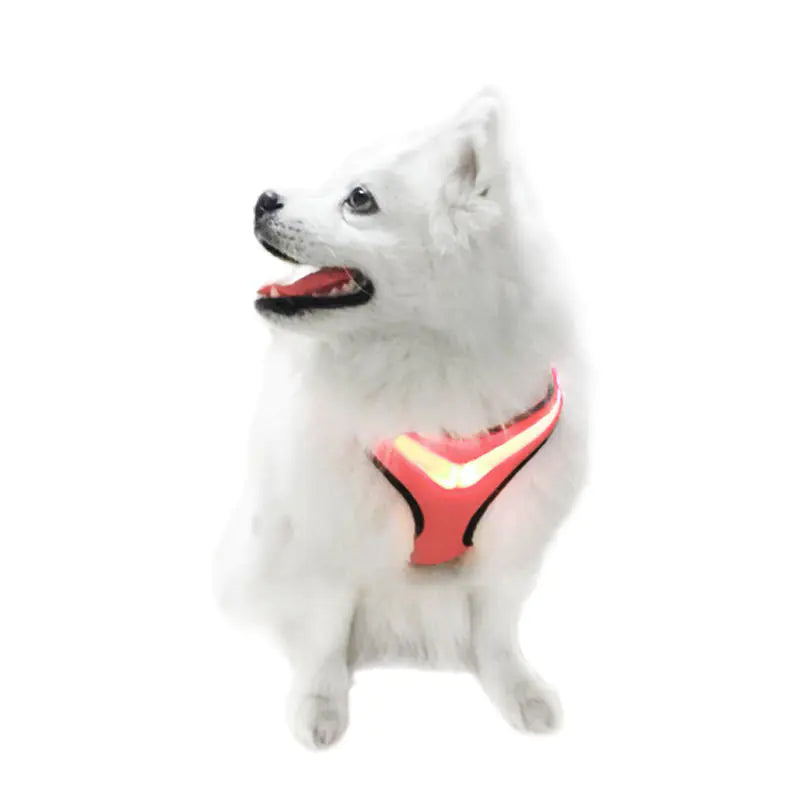 Premium LED Dog Harness – USB Rechargeable Light-Up Safety Vest