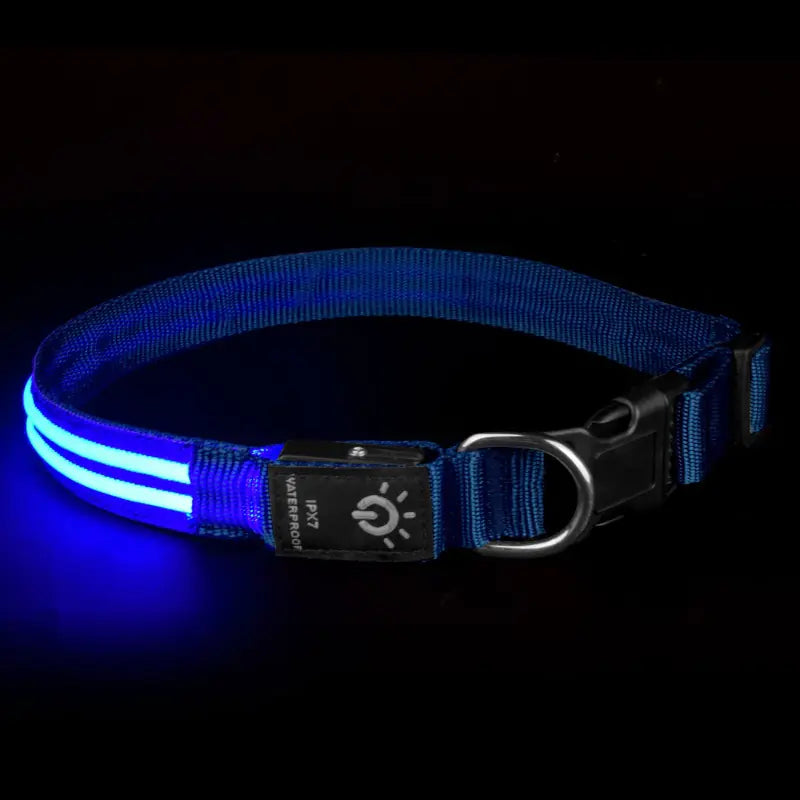 LED Waterproof Night Pet Collar with Lighting
