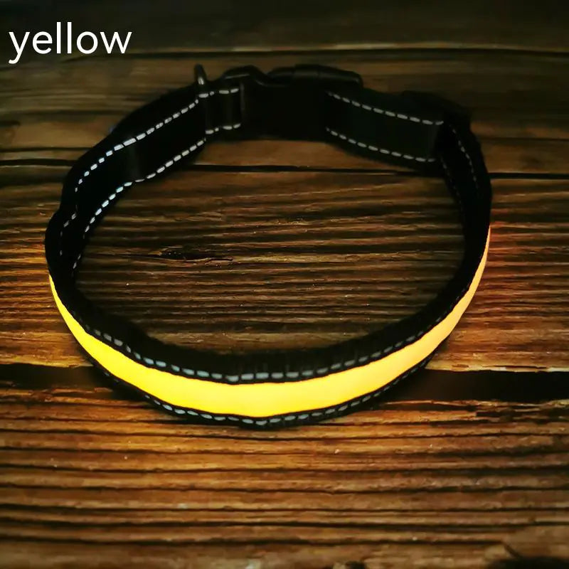 Reflective LED Dog Collar with Leather and Ribbon Design